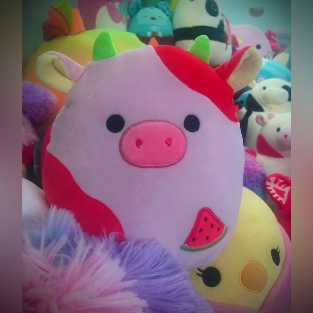 🍉🐄 Oola 8’’ Select Serie🐄🍉 *Scented*